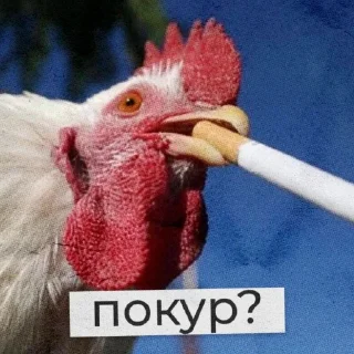 🚬