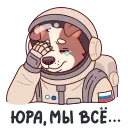 ⭐