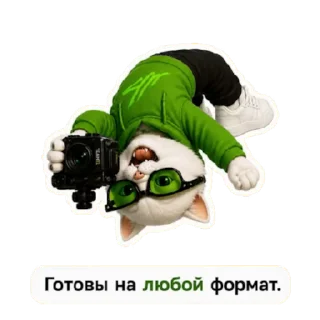 🌟