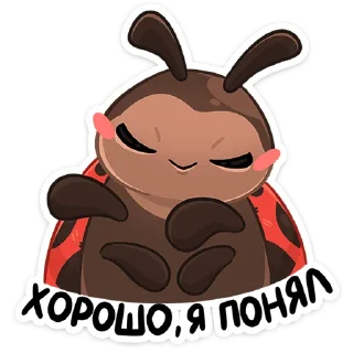 🐞