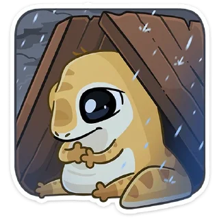 ☔