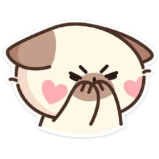 🐱