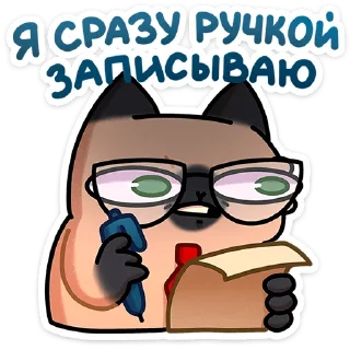 🐱