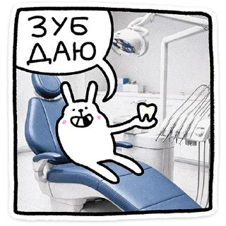 🐰