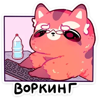 ⭐