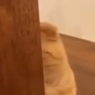 😅