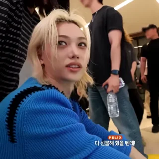 🎣