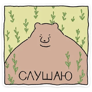🐻