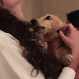 🌟
