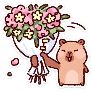⭐