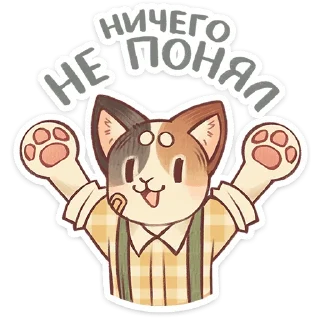 🌟