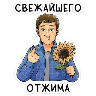 🌻