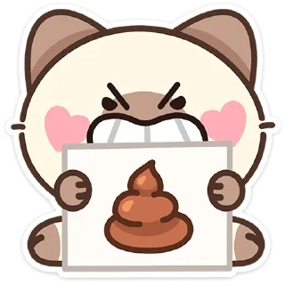 🐱