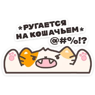 🐱