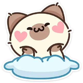 🐱