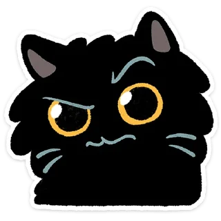 🐱