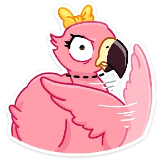 🦩