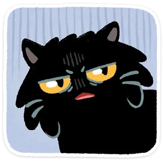 🐱