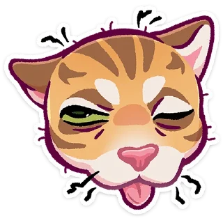 🐱