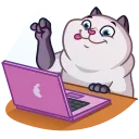 👨‍💻