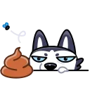 💩
