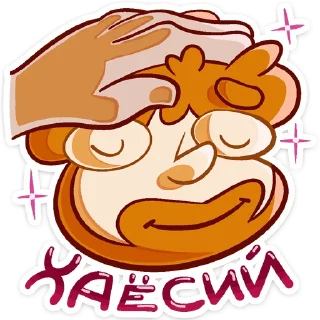 ⭐