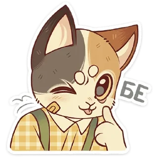 🐱
