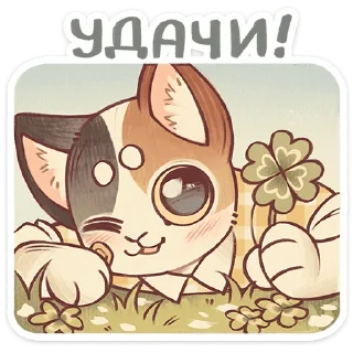 🌟