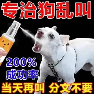 🐶