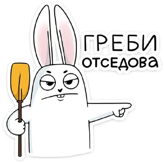 🐰