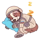 ⭐
