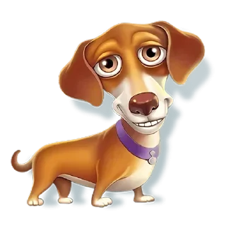 🐶