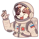 ⭐