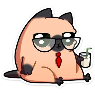 🐱