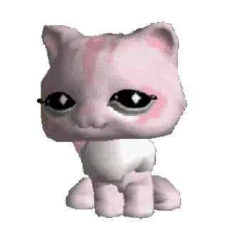 🐱