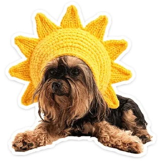 ⭐