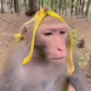 🤤