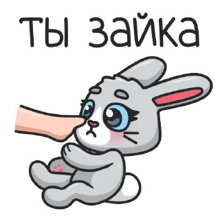 🐰