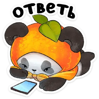 🐼