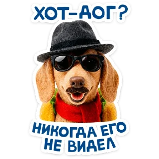 🐶