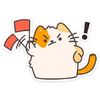 🐱