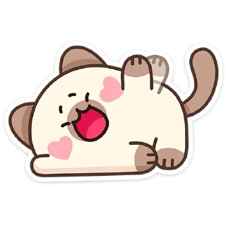 🐱