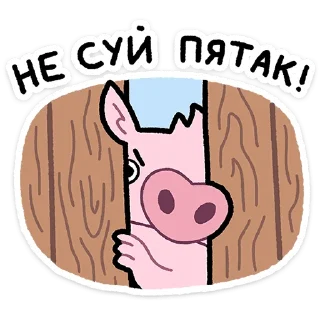 🐽