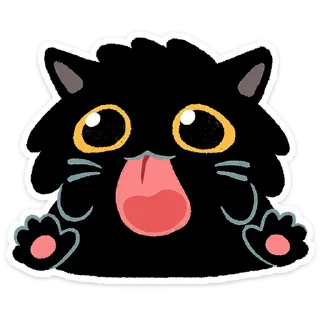 🐱