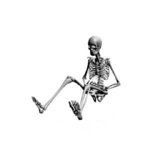 🦴