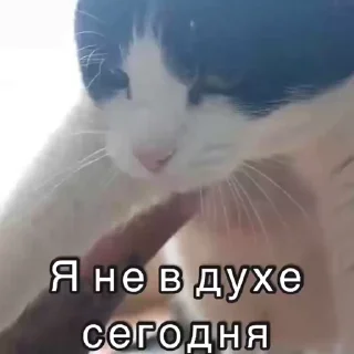 😰