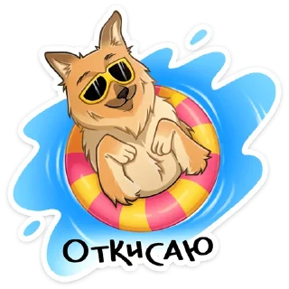⭐