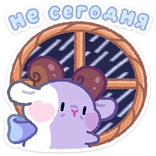 ✨