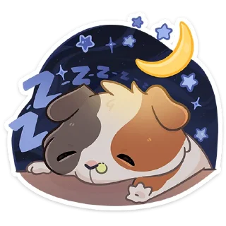 😴