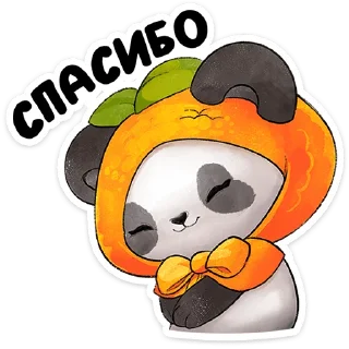 🐼